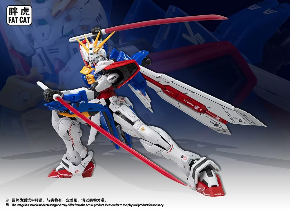 In Stock FAT CAT Model MG 1/10 - огляд і ціна Model Kit Rg