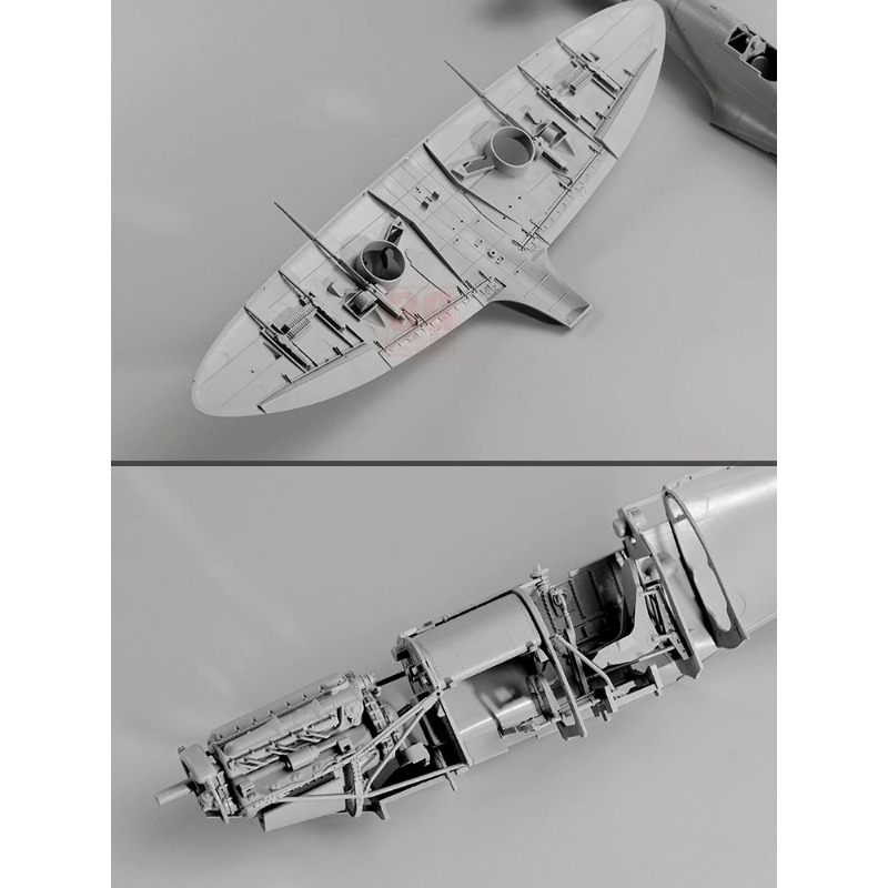 Border  1/35 BF-004 Spitfire F - огляд і ціна Model Kit Spitfire