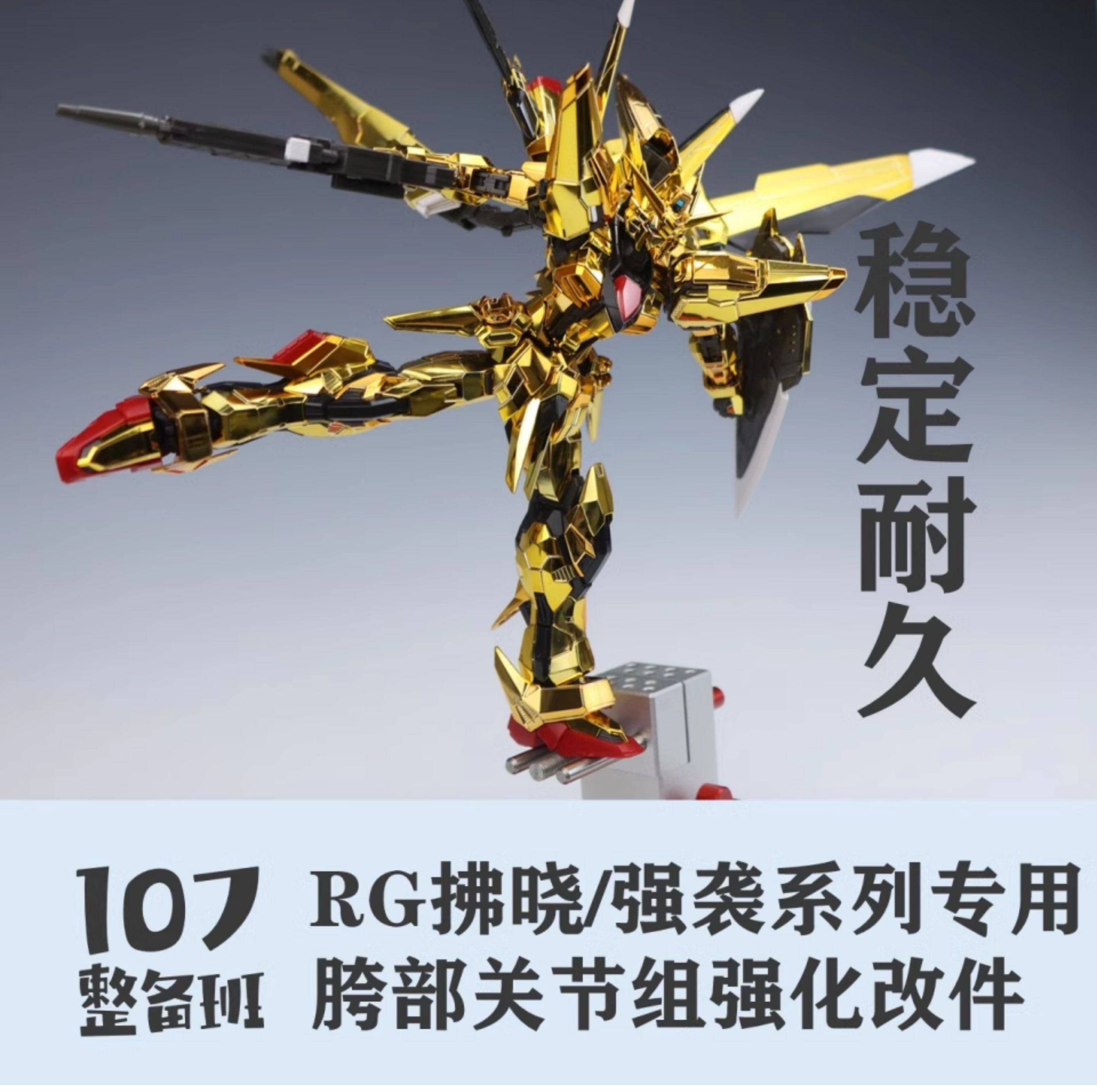 107 Model Kits Custom Upgrade  - огляд і ціна Model Kit Rg