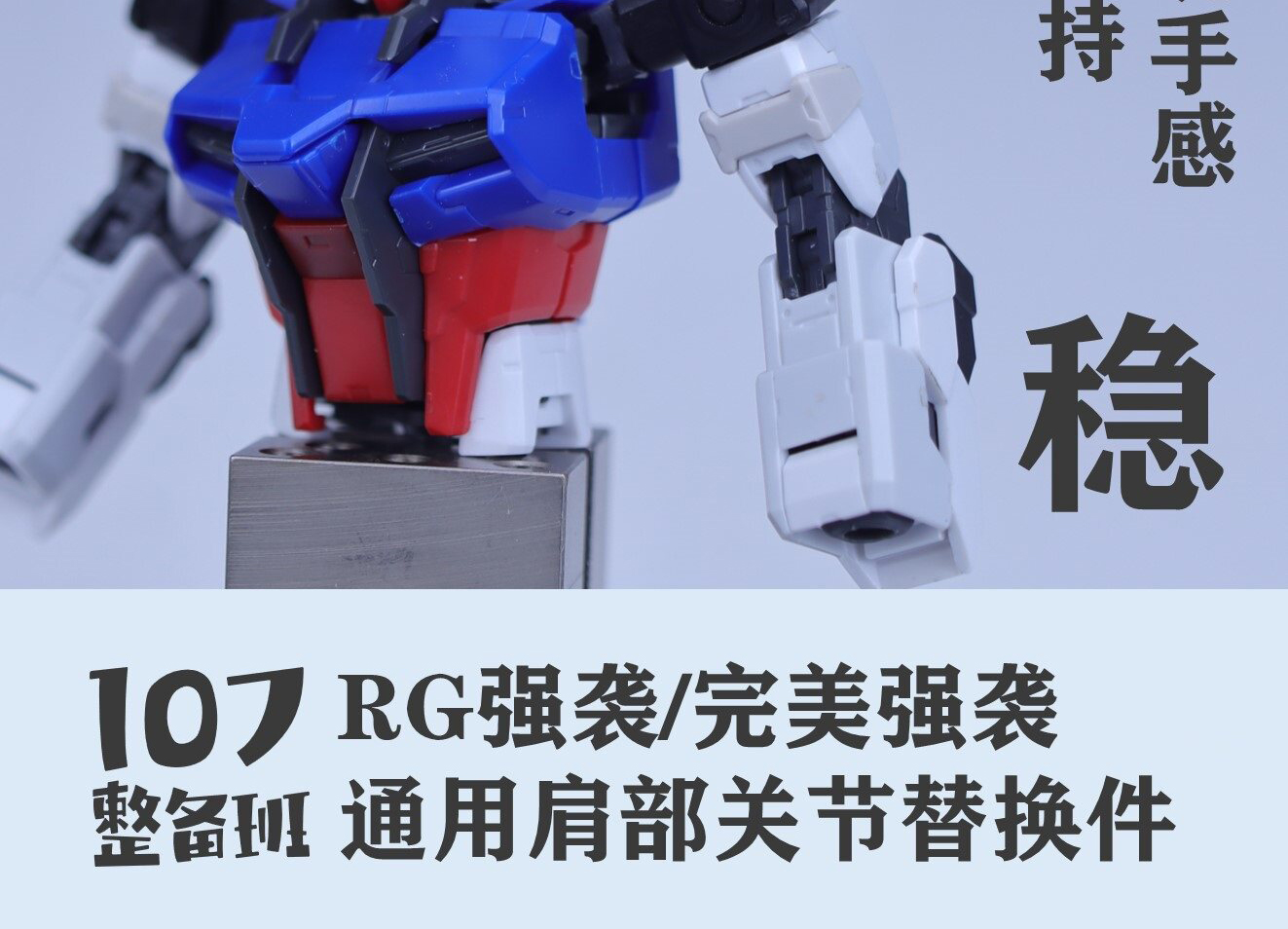 107 Series RG Strike Perfect S - огляд і ціна Model Kit Rg